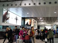 -米兰马尔彭萨国际机场