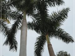 -广州市白云山风景名胜区