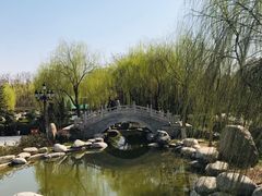-西安青龙寺遗址景区