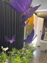 -苏州奥拉克美容医院