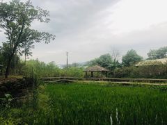 -驿舍·民國老营房院子私房菜(科学会堂店)