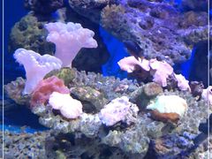 -北海·海洋之窗