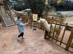 -杭州开元森泊度假乐园