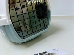 -关爱宠物医院·猫科中心·消化科(滨湖万达分院)