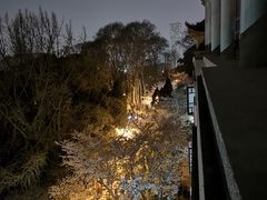 -武汉大学-樱园