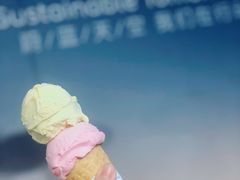百香果-Dal Cuore 达可芮冰淇淋(陕西北路店)