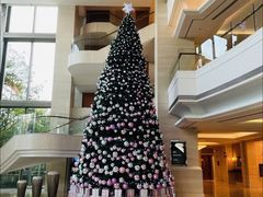 -上海新发展亚太JW万豪酒店