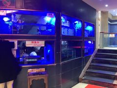 -沱江鱼府(丽江店)