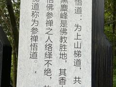 -长沙黑麋峰国家森林公园