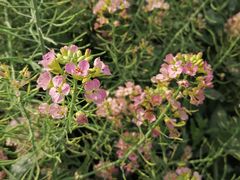 -中国天府农业博览园