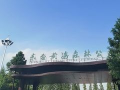 -黄海国家森林公园