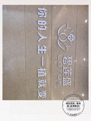 -碧莲盛·不剃发植发