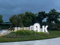 -春花秋色城市公园