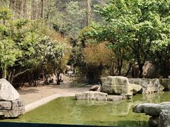 -黔灵山公园