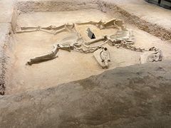 -洛阳周王城天子驾六博物馆