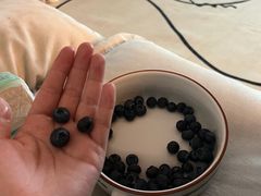 -水果地带(中航国际店)