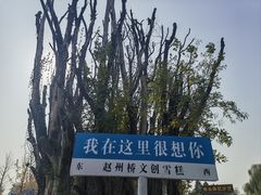 -赵州桥景区