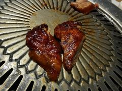 -守柴炉烤鸭(科华中路王府井店)