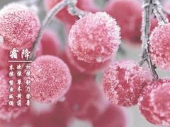 -金子小一一儿童军校幼儿园(德望里分园)