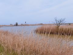-盐城丹顶鹤湿地生态旅游区