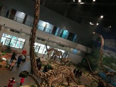 -自贡恐龙博物馆