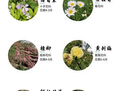 -悦藤爱托育早教中心(华凌公馆店)