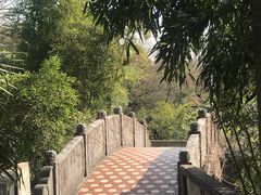 -菊花台公园