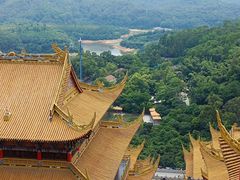 -东莞市大岭山森林公园