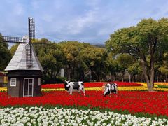 -大宁郁金香公园-停车场