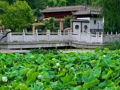 -莲湖公园