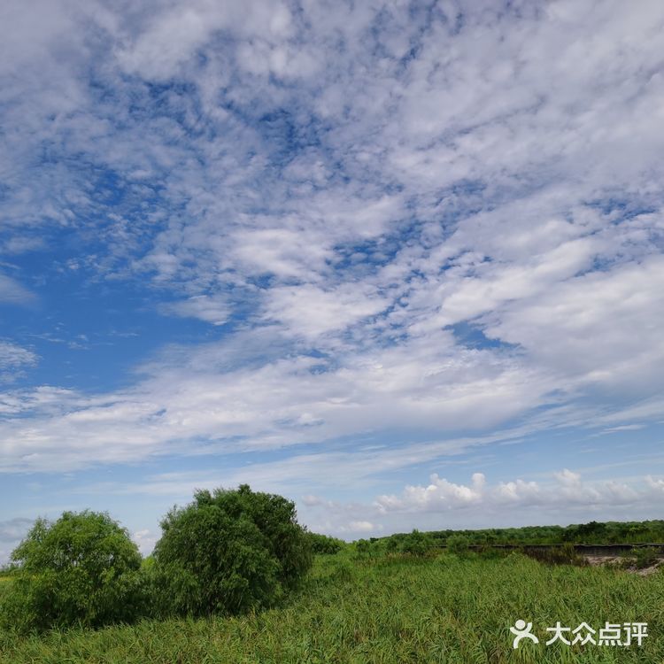 九段沙湿地公园门票图片