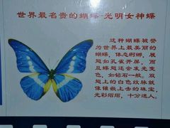 -上海昆虫博物馆