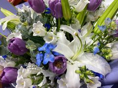 -双季花艺园艺市场(浦东店)