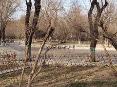 -丰台科技园生态主题公园