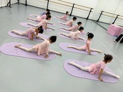 -中央芭蕾舞团·中芭艺蕾(酒仙桥明星校区)