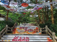 -广州市帽峰山景区