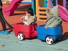 -华兰国际幼稚园(海逸园)