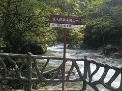 -大鄣山卧龙谷景区