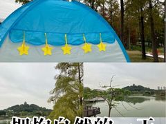 -王借岗森林公园