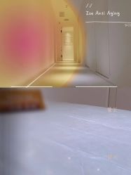 -紫御国际抗衰ZOE ANTI AGING