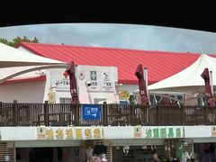 -碧海金沙