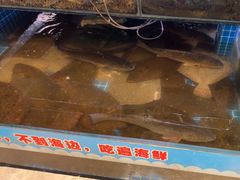 -和源祥·日照菜扛把子(万平口一店)