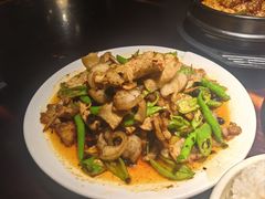 -陈麻婆豆腐总店