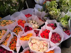 -循礼门鲜花花市(武汉循礼门店)