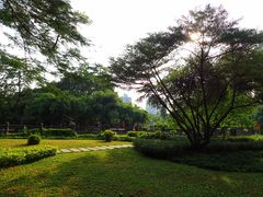 -晓港公园
