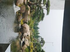 -罗红摄影艺术馆