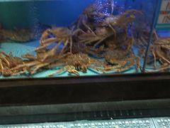 -阿伟海鲜楼·福建菜(延寿店)