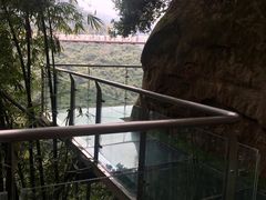 -川西竹海景区