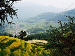 -紫鹊界梯田景区