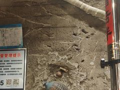 -破瓦寒窑·地摊烤羊排